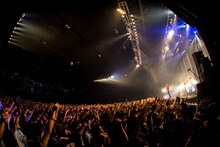 SUPER BEAVER「SUPER BEAVER『27』Release Tour 2016 ～27こぶ、ラクダ～」東京・Zepp DiverCity TOKYO公演の様子。（Photo by Junpei Hiyoshi）