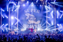 SUPER BEAVER「SUPER BEAVER『27』Release Tour 2016 ～27こぶ、ラクダ～」東京・Zepp DiverCity TOKYO公演の様子。（撮影：青木カズロー）