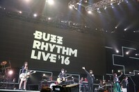 いきものばかり（撮影：山内洋枝）