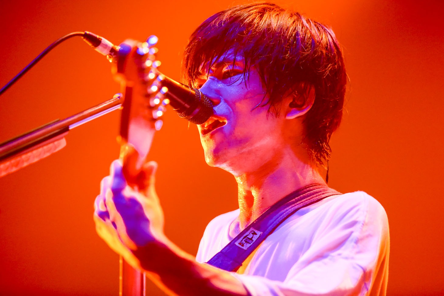 ヤマサキセイヤ（Vo, G / キュウソネコカミ）（Photo by Viola Kam ［V'z Twinkle Photography］）