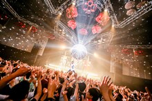 キュウソネコカミ（Photo by Viola Kam ［V'z Twinkle Photography］）