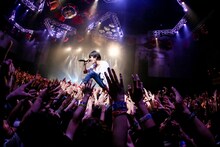 キュウソネコカミ（Photo by Viola Kam ［V'z Twinkle Photography］）