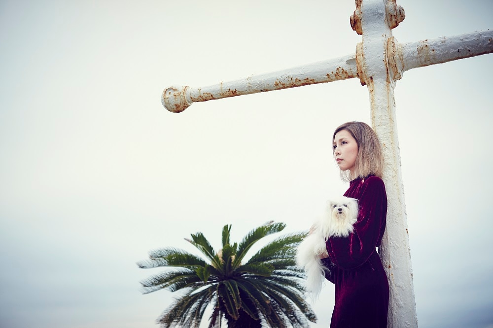 sebuhirokoの鍵盤奏者5人ライブにBOBO参加、物販「世武蚤の市」も