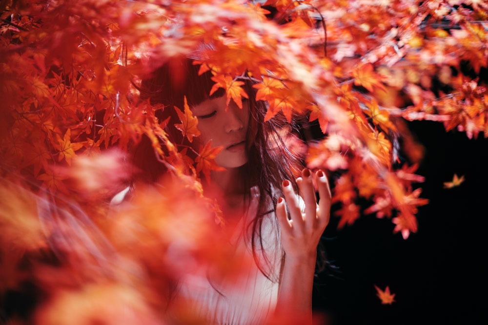 Aimer