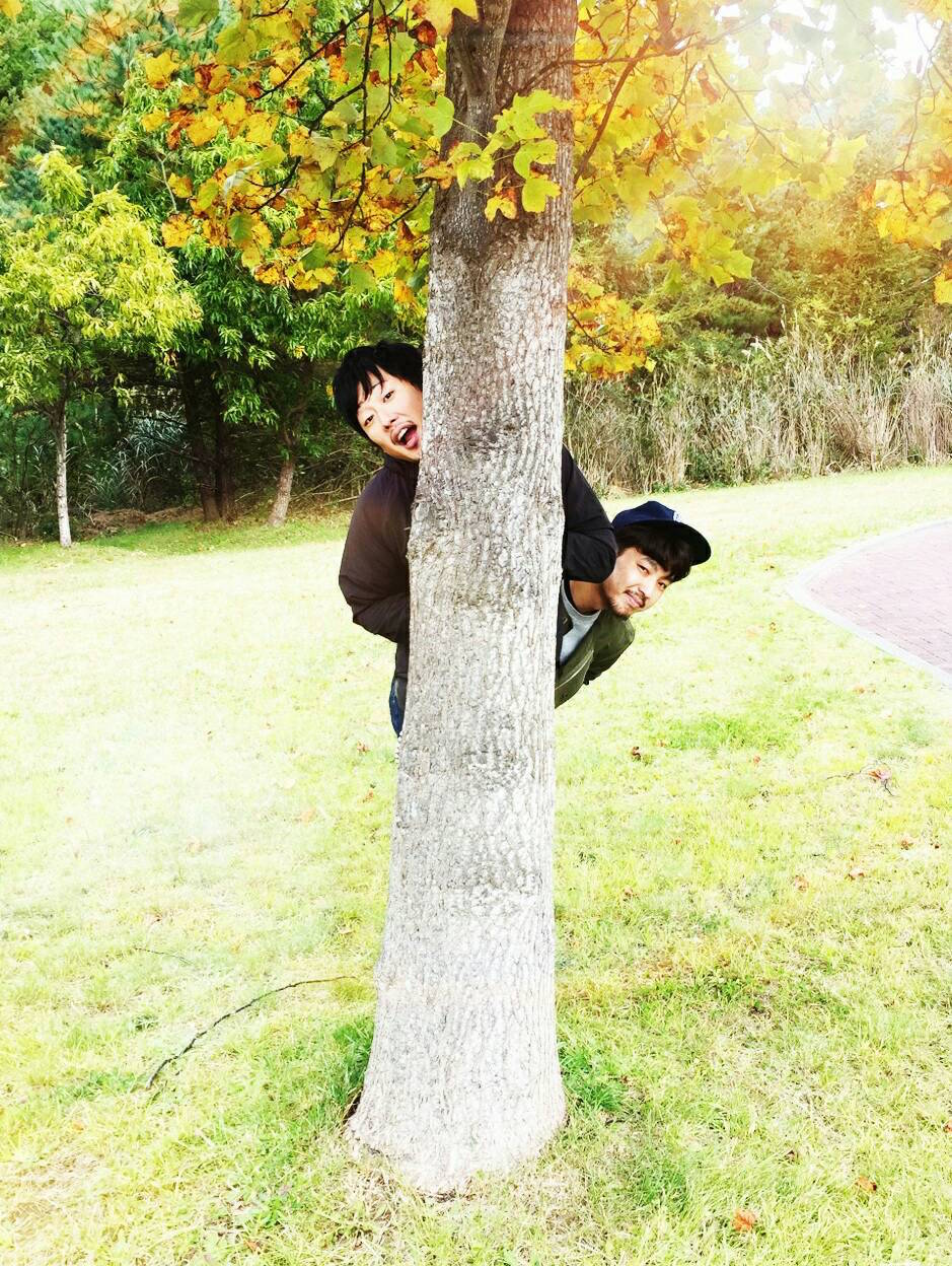 THE FOREVER YOUNG