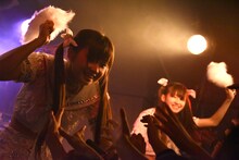 LADYBABY