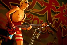 たなしん（B, Cho / グッドモーニングアメリカ）（撮影：佐藤広理）