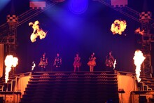 チームしゃちほこ