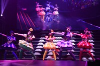 チームしゃちほこ