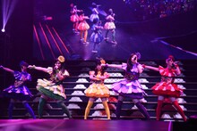 チームしゃちほこ