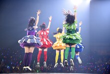 チームしゃちほこ