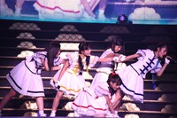 チームしゃちほこ