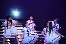 チームしゃちほこ