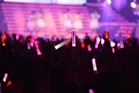 ピンクのペンライトを掲げるチームしゃちほこのファン。