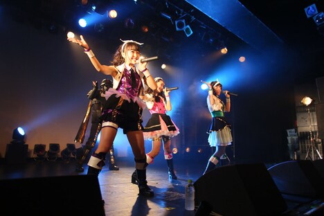 です。ラビッツ（Photo by Takeshi Maruyama）