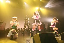 です。ラビッツ（Photo by Takeshi Maruyama）