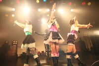 です。ラビッツ（Photo by Takeshi Maruyama）