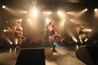 です。ラビッツ（Photo by Takeshi Maruyama）