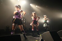 です。ラビッツ（Photo by Takeshi Maruyama）