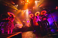 Czecho No Republic「Welcome to the Hotel Flamingo Tour」東京・Zepp DiverCity TOKYO公演の様子。（撮影：山川哲矢）