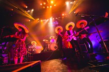 Czecho No Republic「Welcome to the Hotel Flamingo Tour」東京・Zepp DiverCity TOKYO公演の様子。（撮影：山川哲矢）