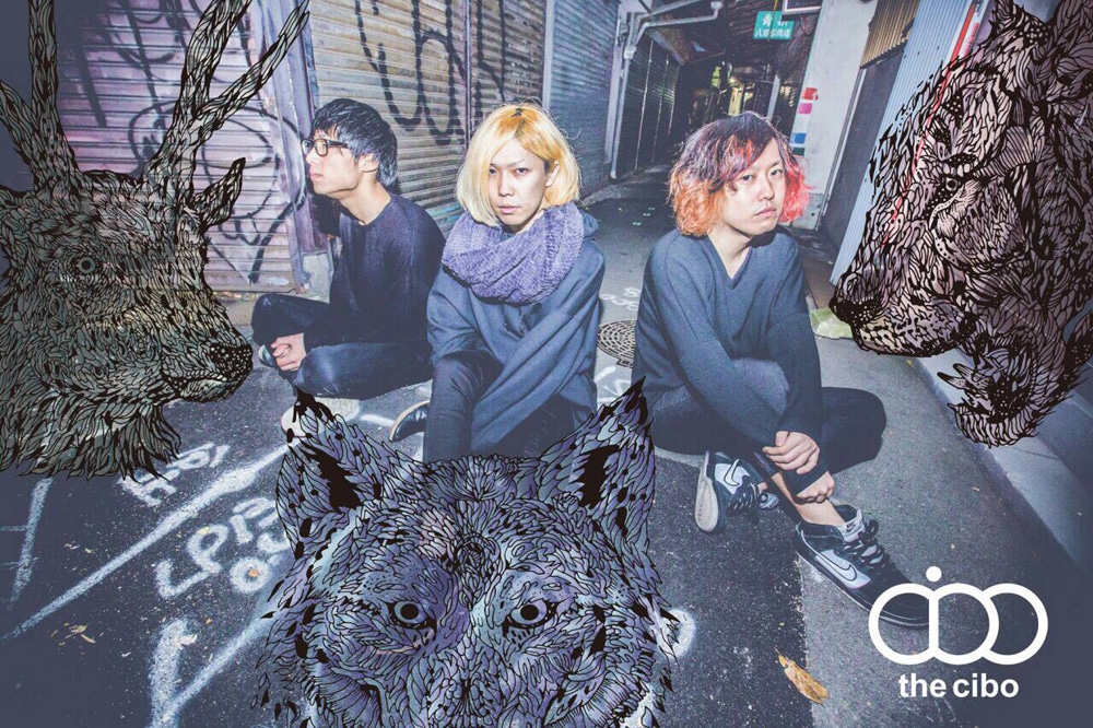 the cibo