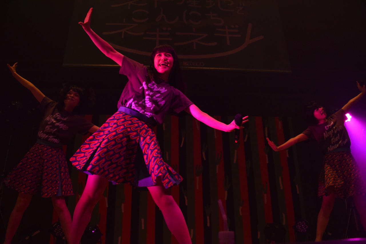 Negicco