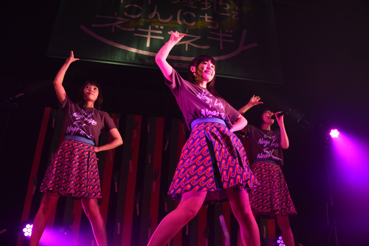 Negicco