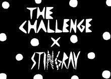 ザ・チャレンジとSTINGRAYのコラボビジュアル