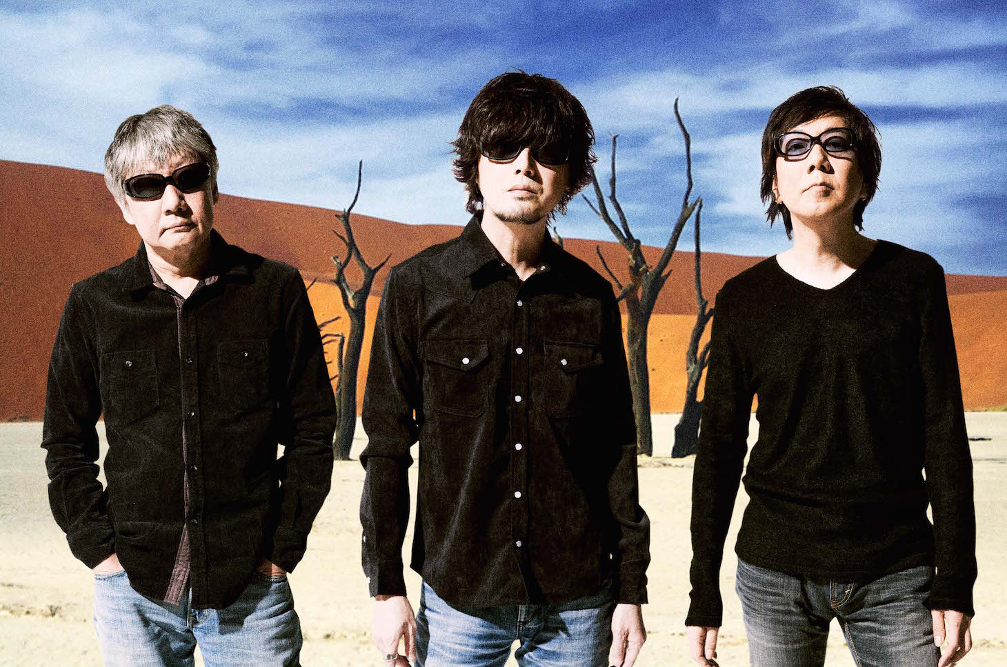 the pillows