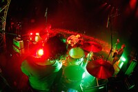 「NICO Touches the Walls 1125/2016」の様子。（撮影：上飯坂一）