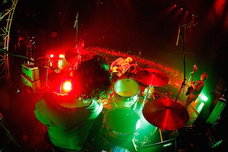 「NICO Touches the Walls 1125/2016」の様子。（撮影：上飯坂一）