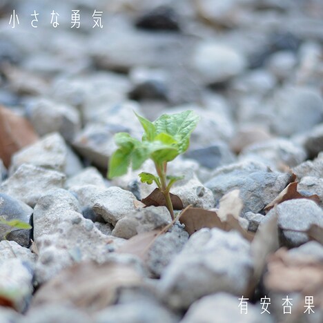 有安杏果「小さな勇気」ジャケット