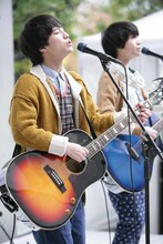 さくらしめじ（撮影：埼玉泰史）