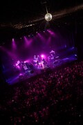 Shiggy Jr.「ALL ABOUT POP Release Tour『“ワンマン”スかこれ。～東阪編～』」東京・EX THEATER ROPPONGI公演の様子。（Photo by Yosuke Torii）