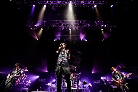 「SPYAIR TOUR 2016 RAGE OF DUST」東京公演の様子。（撮影：鳥居洋介）