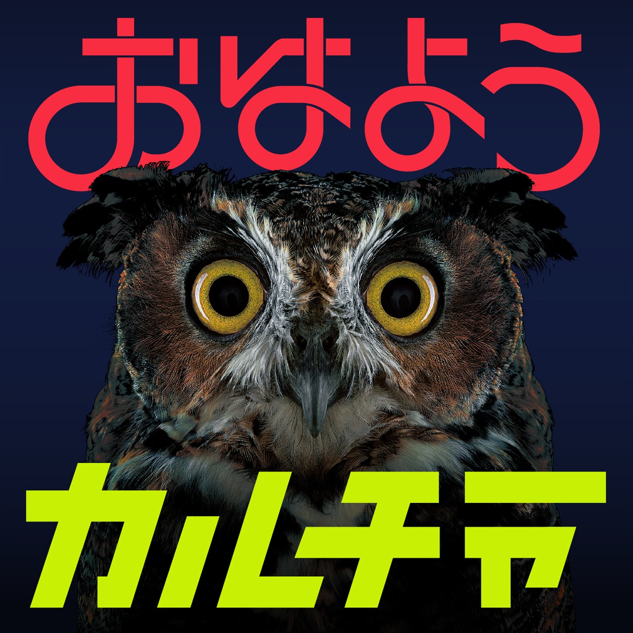 go!go!vanillas「おはようカルチャー」ジャケット