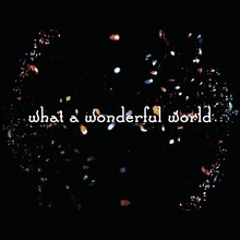 Salyu×小林武史「What A Wonderful World」ジャケット