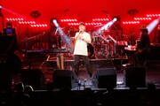 藤井隆のライブの様子。
