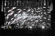 METAFIVE「WINTER LIVE 2016」東京・Zepp DiverCity TOKYO公演の様子。(撮影:三浦憲治)