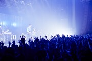 「米津玄師 2016 TOUR / はうる」東京・Zepp Tokyo公演の様子。(撮影:中野敬久)