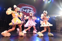 「わーすた 完全なるライブハウスツアー2016 ～猫耳捨てて走り出すに゛ゃー～」ツアーファイナルの様子。