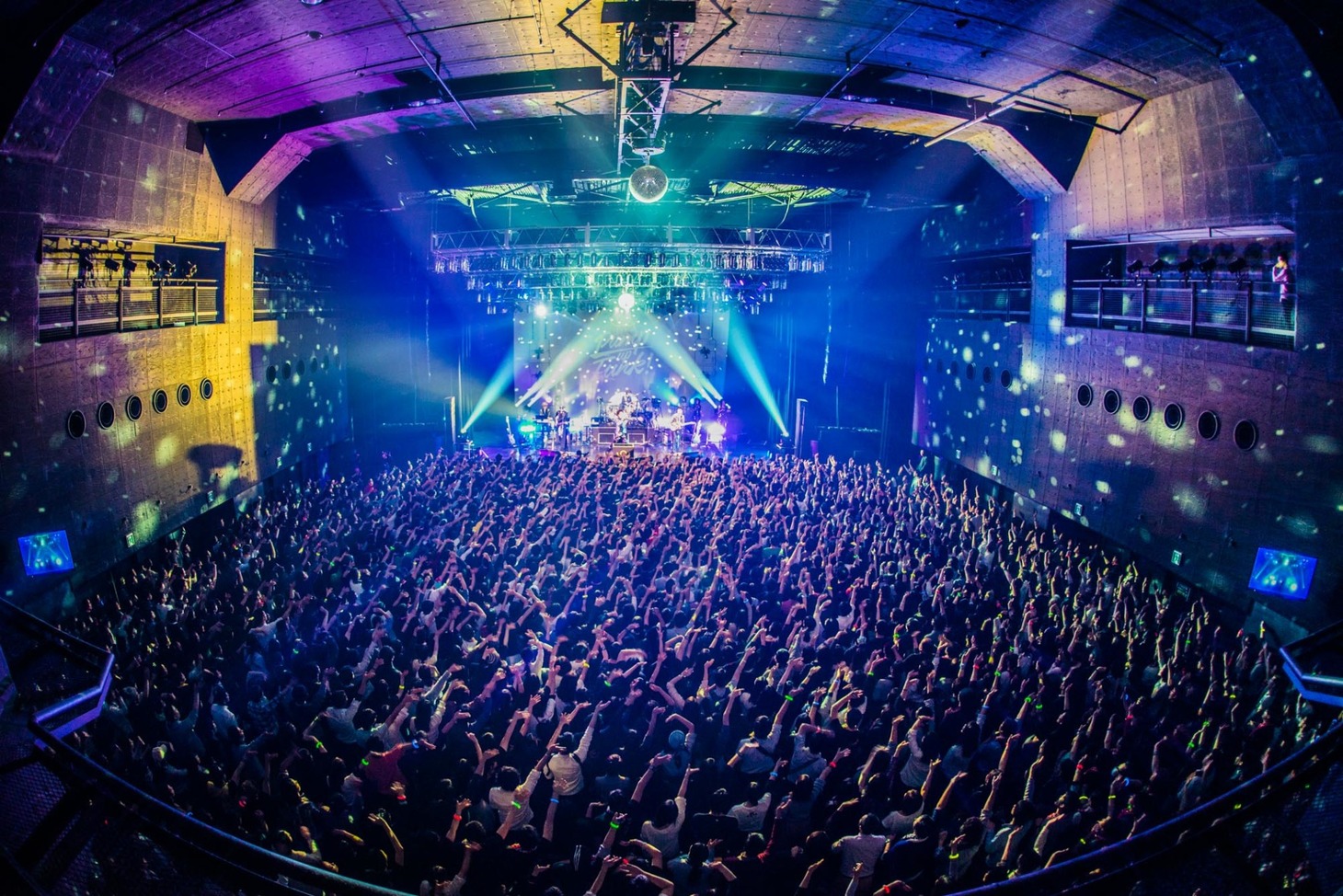 「ファンカジスタツアー2016～PUMP UP FUNK編～」Zepp DiverCity TOKYO公演の様子。（撮影：木場ヨシヒト）