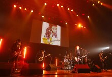 ZEPPET STORE (c)HEADWAX ORGANIZATION CO.,LTD.（Photo by Hisao Yamaguchi）