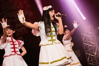 坂本遥奈（チームしゃちほこ）（撮影：鳥居洋介）