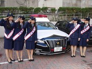 チームしゃちほこ