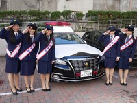 チームしゃちほこ