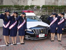 チームしゃちほこ