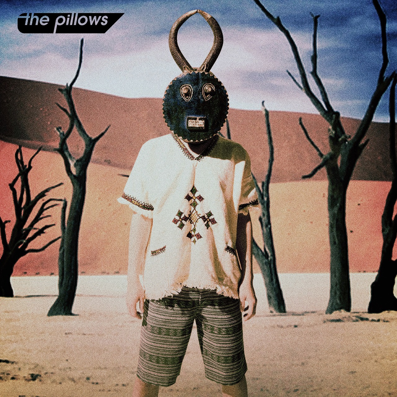 the pillows「王様になれ」ジャケット