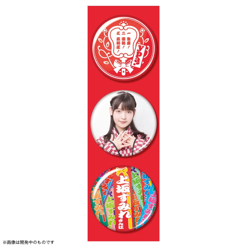 おみやげ缶バッジ3個セット
